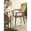 Arm Dining Chair