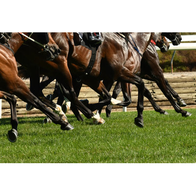 Horse Racing Action - Photographie sur toile tendue