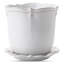 Berry & Thread Planter-58648836-58915834