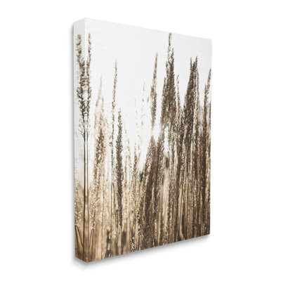 " Light Ray Though Wheat Field " by Susan Ball