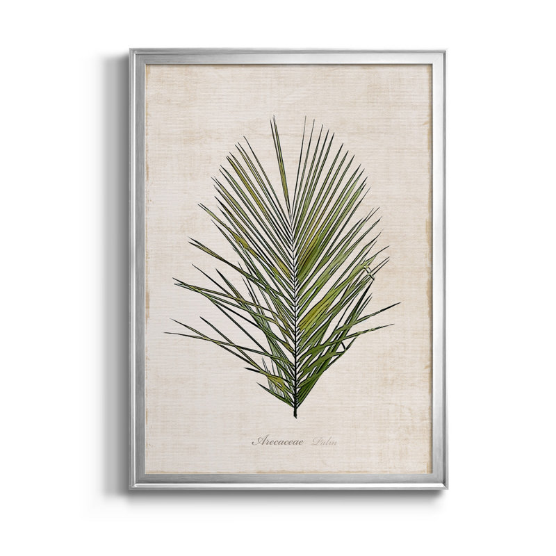 Palmier botanique I - impression, H 18,5 po x l 24,5 po x P 1,5 po, Argent