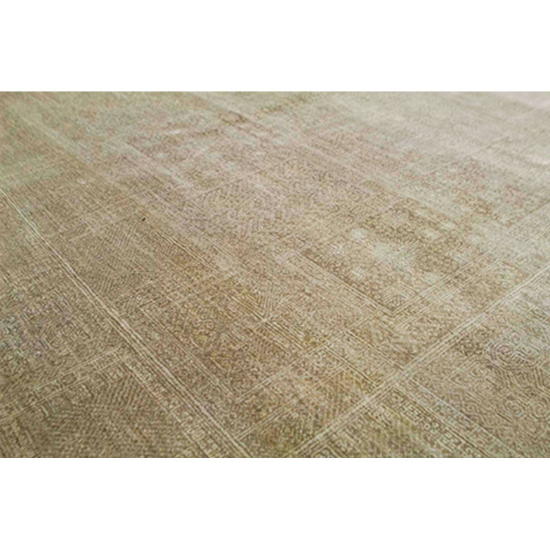 Oriental Area Rug in Beige