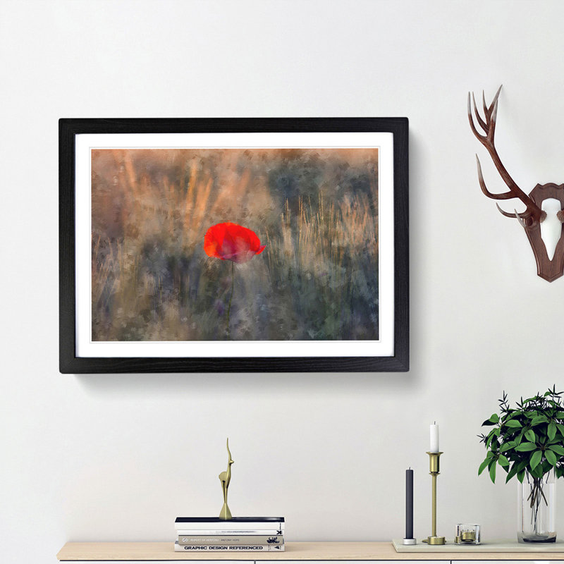 Red Poppy Flower - Framed Print, 45cm H x 63cm W x 2cm D, Black Framed