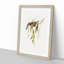 Brown Honeyeater Birds by Elizabeth Gould - Picture Frame Graphic Art Print-55512993-55512992