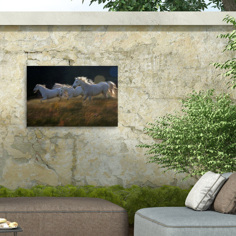 «Milan Malovrh Riding The Field on Canvas» par Milan Malovrh, reproduction, H 16 po x l 24 po