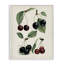 Giclée encadrée par Natural-564627469-564627464