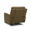 Fauteuil inclinable électrique en cuir Cabrero-1661246588