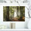 «Green Fall Forest with Sun Rays - Forest», reproduction de photo-953801217-950897106-1045087307