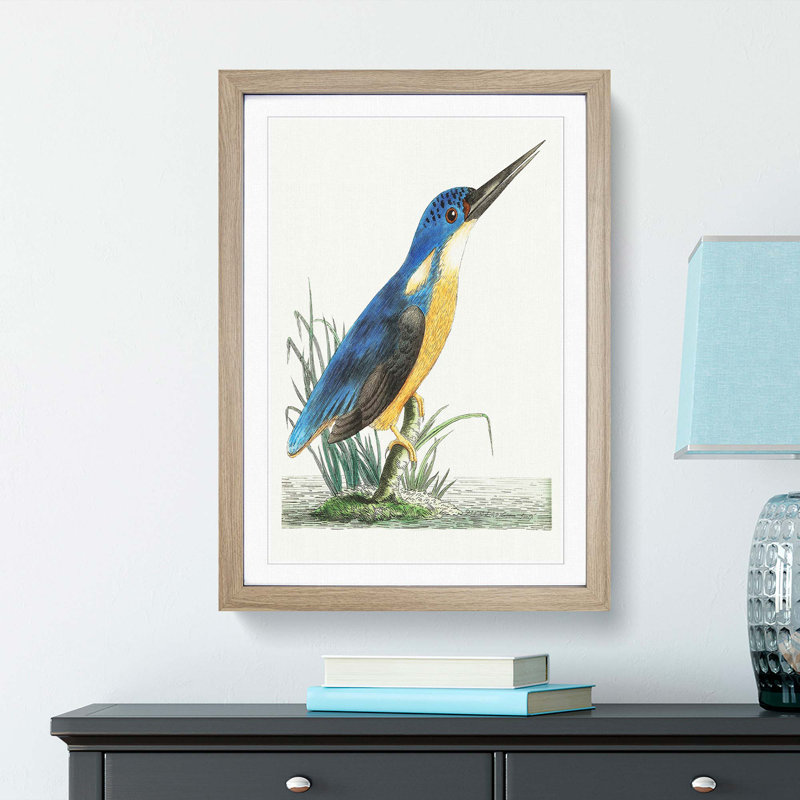 Tridigitated Kingfisher by George Shaw - Framed Print, Oak Framed, 36cm H x 27cm W x 2cm D