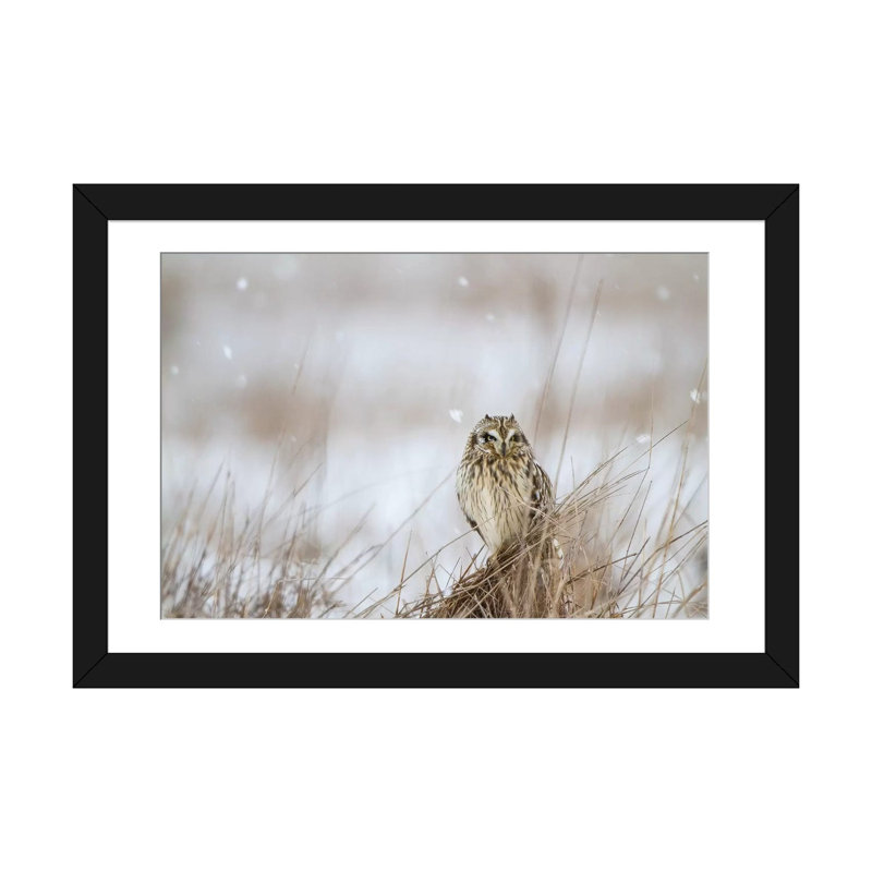 Prairie winter, impression sur toile, Papier d'art encadré noir, H 24 po x l 32 po x P 1 po, Blanc