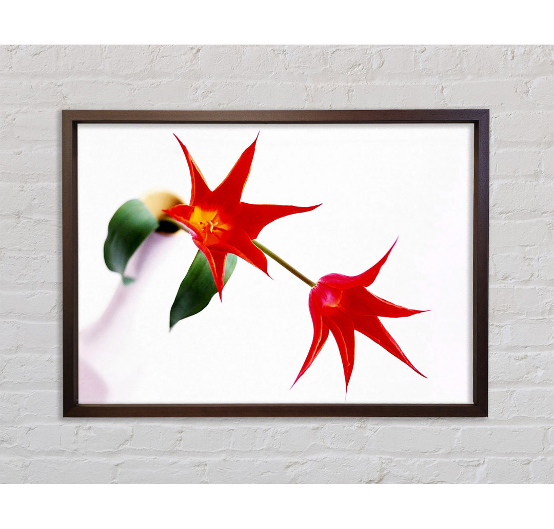 Gerahmtes Wandbild Twin Fire Tulip Centre