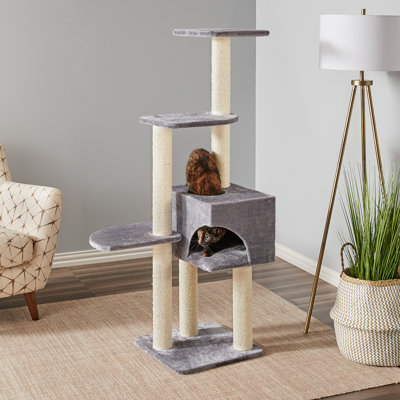 Nobhill 54.33'' H Cat Tree