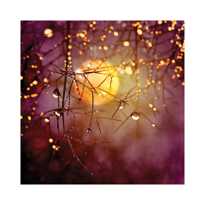 Amber Moon - Wrapped Canvas Print, 45.72 cm H x 45.72 cm W x 3.175 cm D