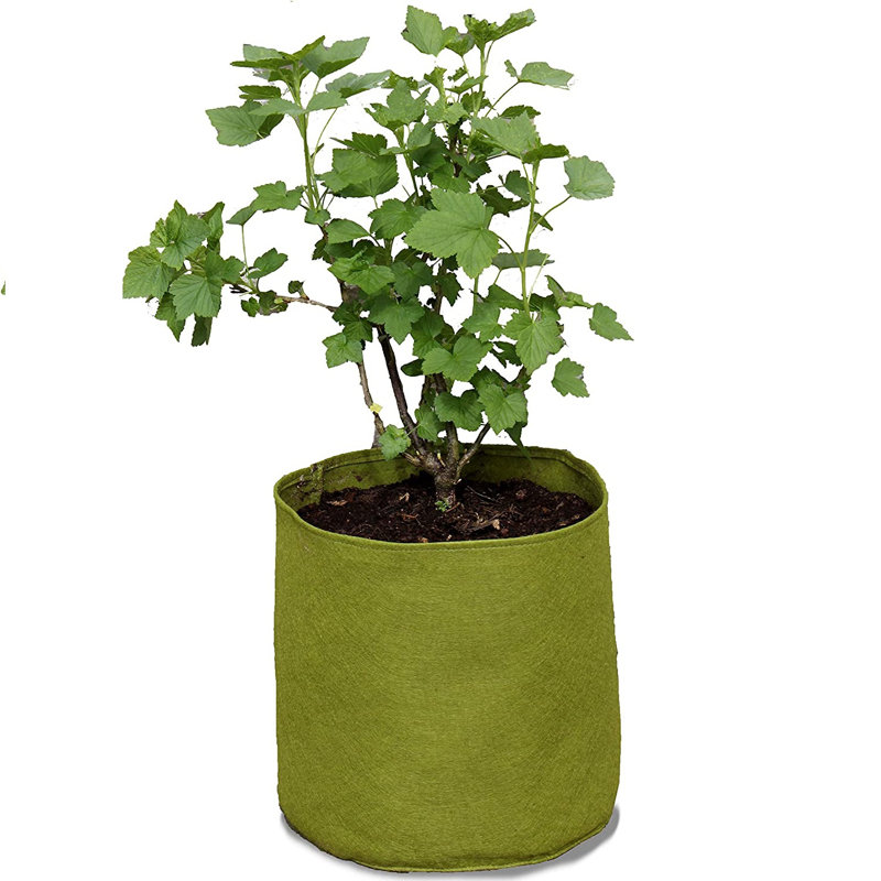 Arionah Pot Planter, 30cm H x 30cm W x 30cm D