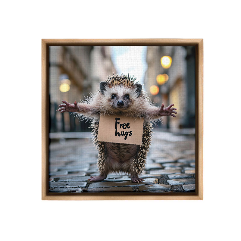 «Free Hugs Hedgehog Floater Frame» par RB sur toile, H 18 po x l 18 po, Cadre flottant orme Montalcino