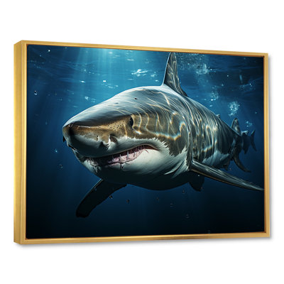 " Oceans Blue Ghost Shark Photography "
