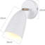 Shaylon Iron Armed Sconce-2141134067