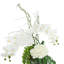 Orchidées disposées avec des hortensias, des plantes grasses et des feuilles de philodendron