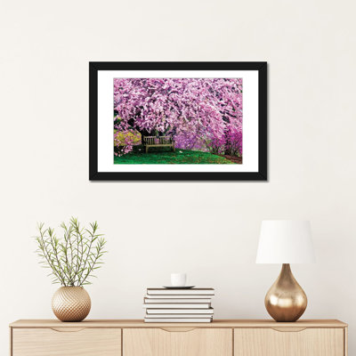 " Tribute Bench Under A Cherry Blossom " by Jay O'Brien