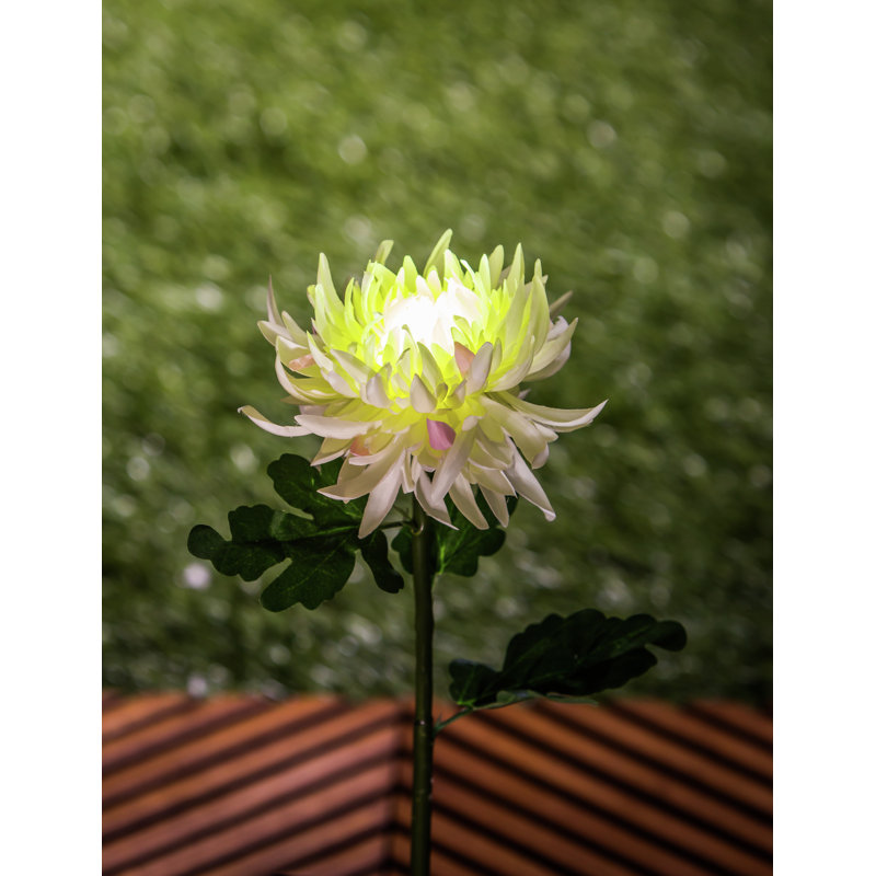 Piquet de jardin Lavatrice, Jaune
