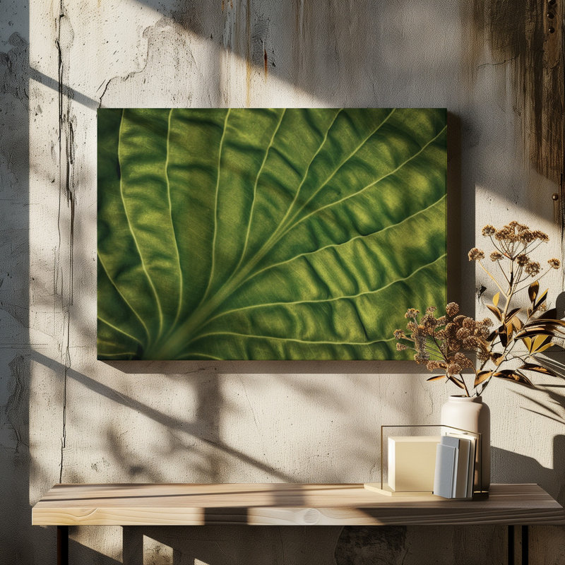 Wrapped Canvas Print, 91.44 cm H x 60.96 cm W