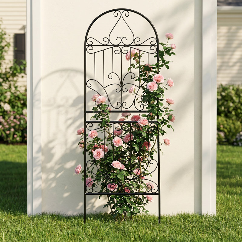  70.8" H X 24.5" W Iron Lattice Panel Trellis 1 Pack