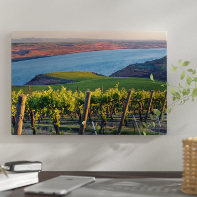 " Columbia River With The Benches Vineyard In The Foreground, Horse Heaven Hills AVA, Washington, USA " by Janis Miglavs