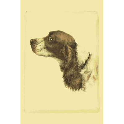 " Printed Danchin Cocker Spaniel (ST) " by Danchin
