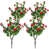 4 red flowers