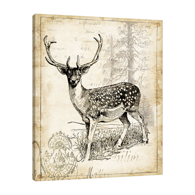 « antique cerf gravure ii », reproduction d’impression sur toile tendue, H 15 po x l 12 po