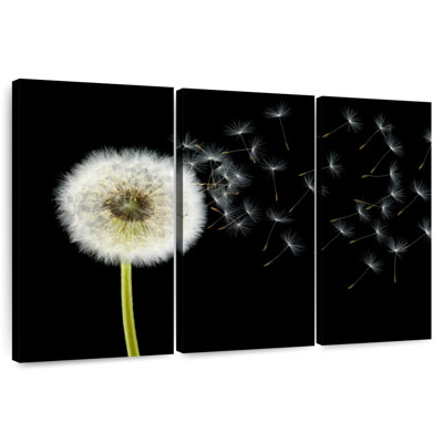 Harnek Fluffy Dandelion
