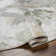 Pyburn Abstract Green Area Rug