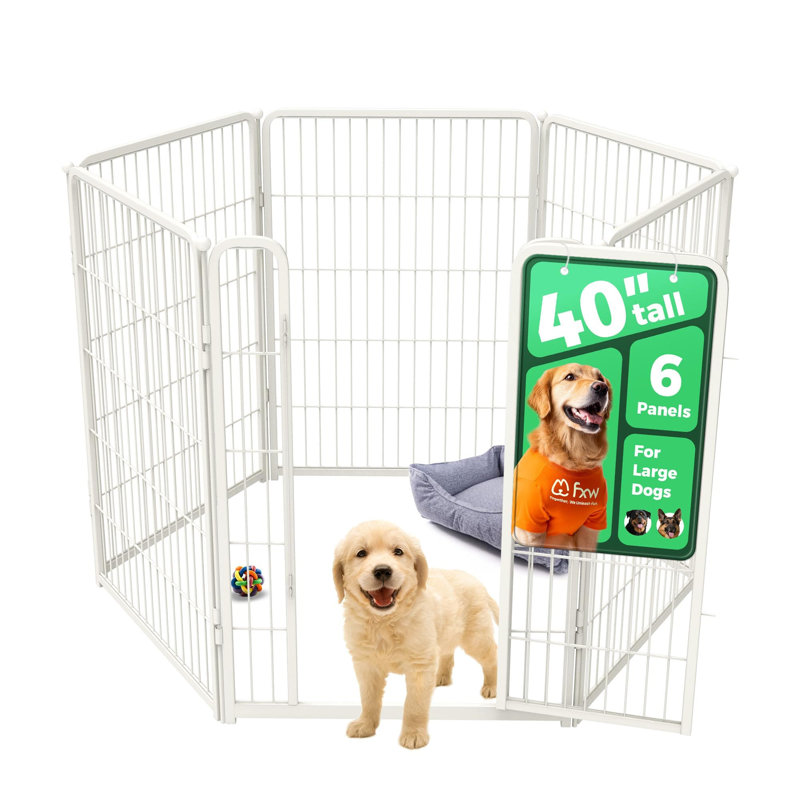Parc pour animaux d'intérieur et d'extérieur non-lesté FXW Homeplus Unleashed, H 40 po x l 54,8 po x P 27,4 po, Blanc