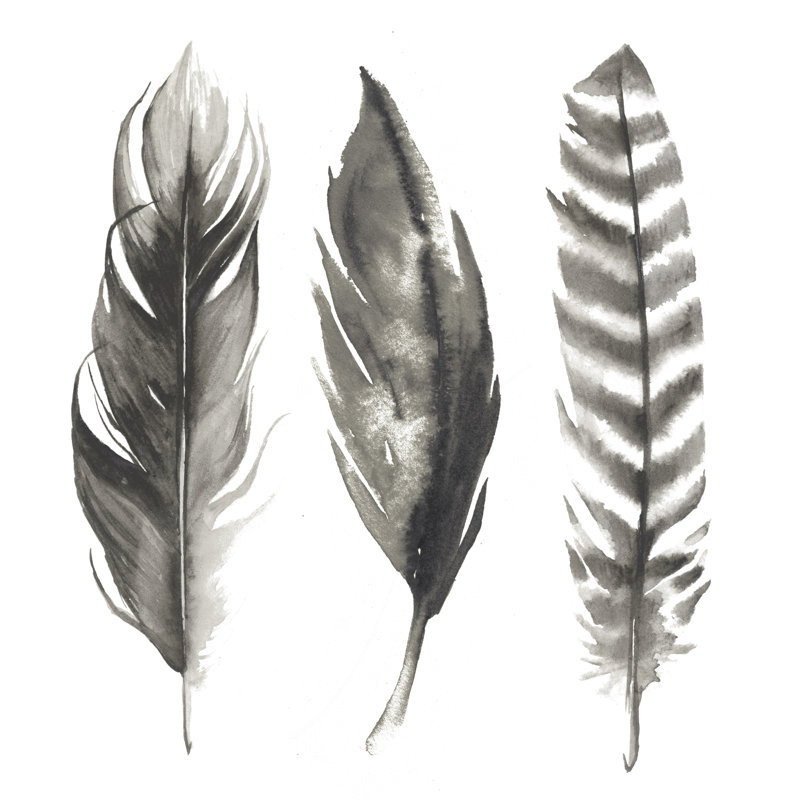 Watercolour Feathers I by Grace Popp - Wrapped Canvas Painting, 30cm H x 30cm W x 3.8cm D