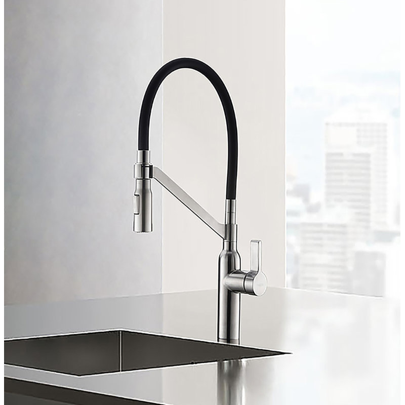 RAEN Marigold Pull Out Kitchen Faucet