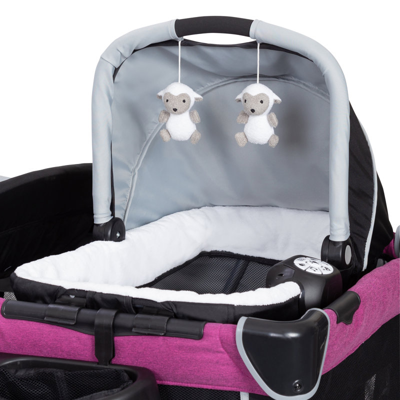 Bassinet with Mattress and Stand