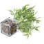 2 - Piece Artificial Plant Set