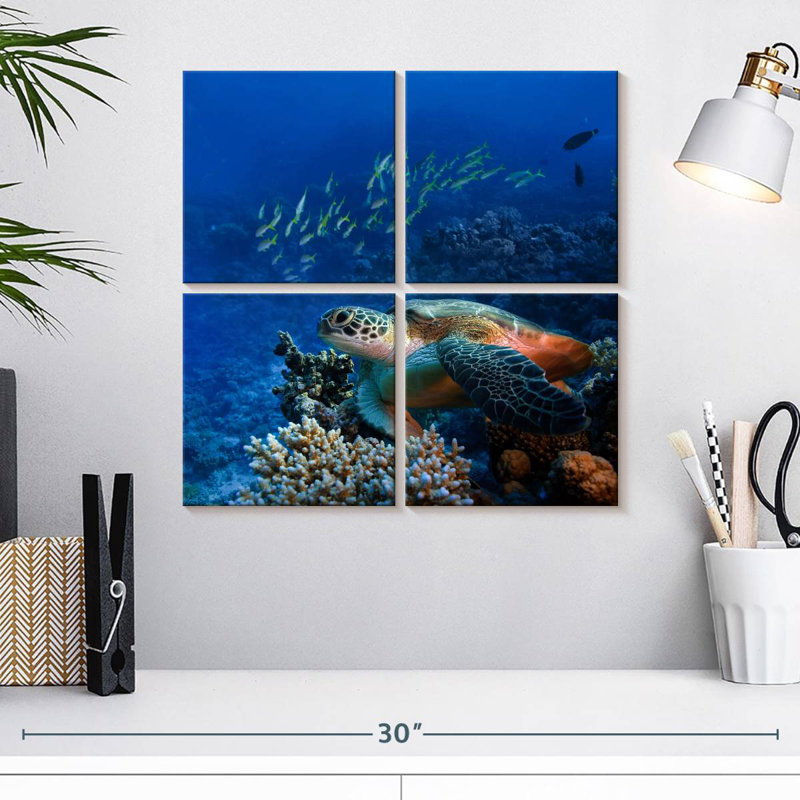 Corail et tortue Brampt, H 18 po x l 18 po