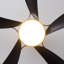 Ventilateur de plafond 52 "avec lumière