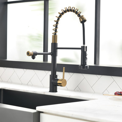 Robinet d'évier de cuisine Purifier