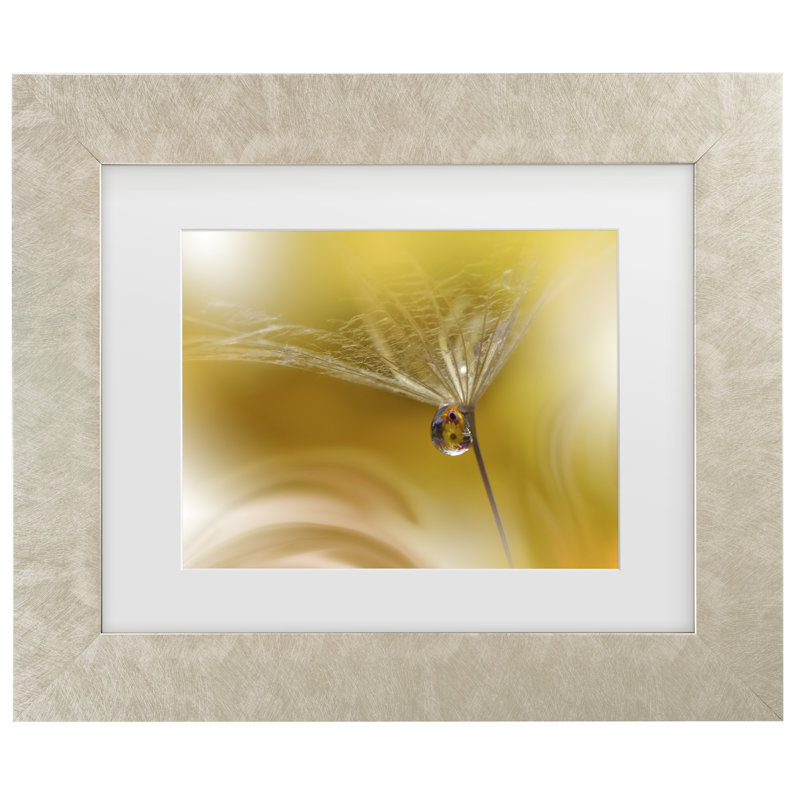 Juliana Nan Sunbeam II, art encadré mat, H 19,5 po x l 23,5 po