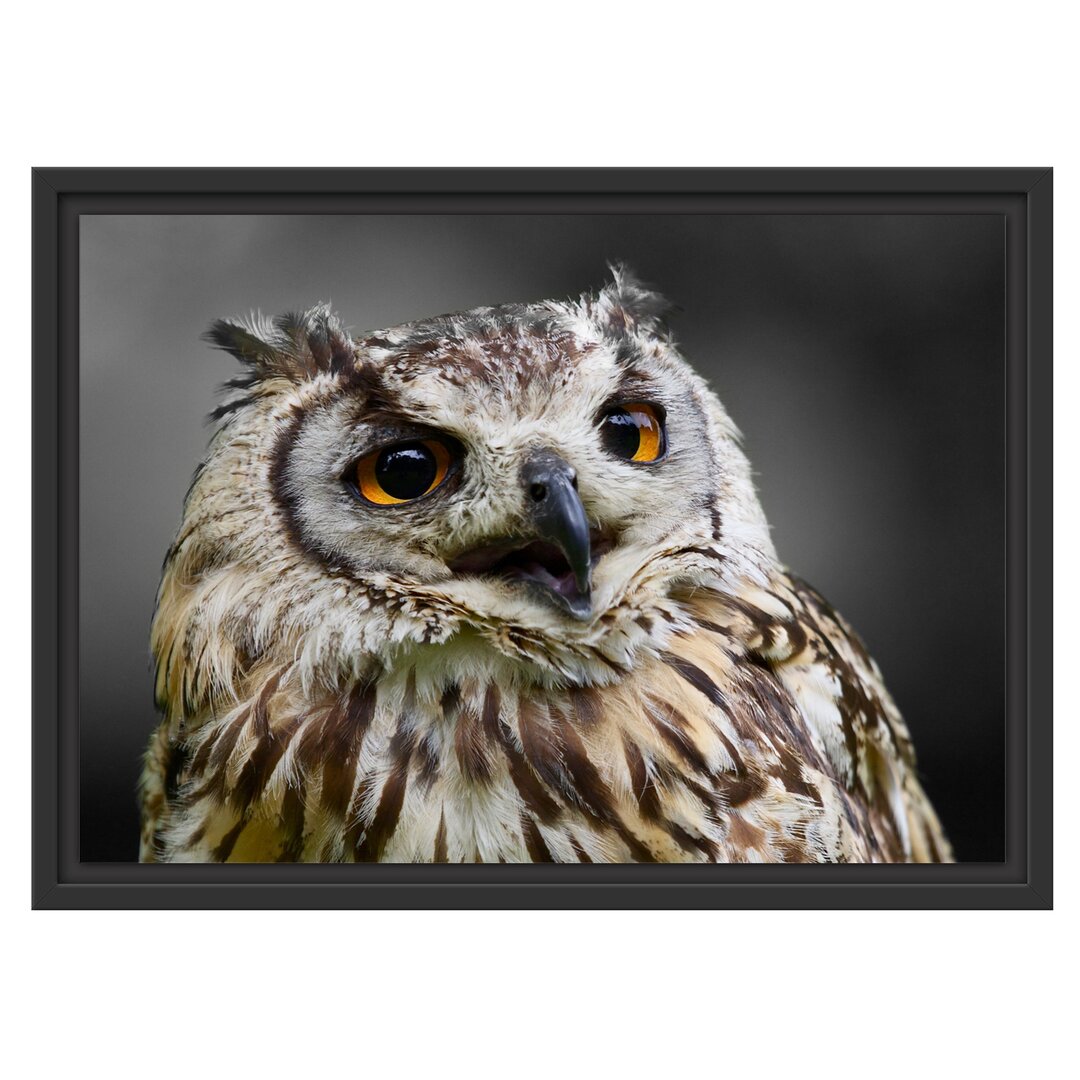 Gerahmter Fotodruck Beautiful Wood Owl