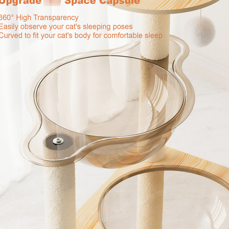 Tour pour chat de 59 pouces pour félins d'intérieur, avec un design élégant, des poteaux à griffes recouverts et confortable