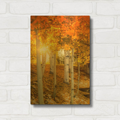 « Aspen Glow » de Jonathan Ross, tableau mural en métal doré, 30,5 x 40,5 cm