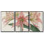 Amaryllis Varietals I 3 pièces-1730938227-1730938220