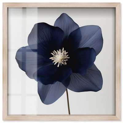 Night Dal II Shadowbox Print Blue Floral Art by Art Remedy