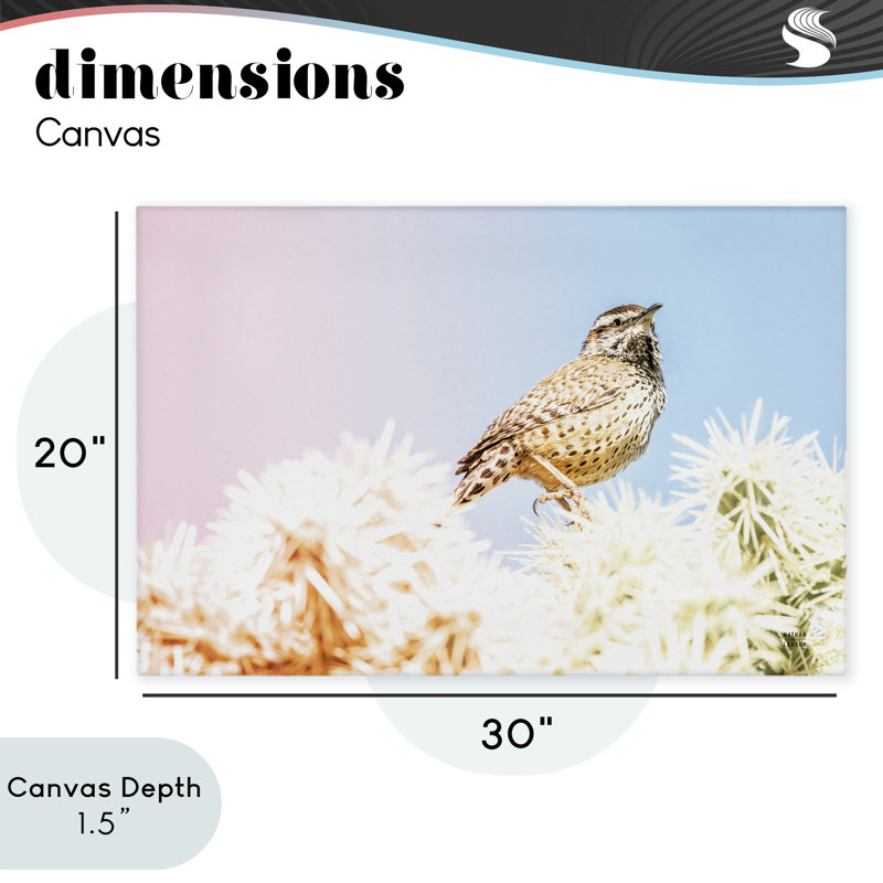 «Desert Song Bird Canvas» par Nathan Larson, H 20 po x l 30 po