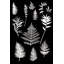 Botanical Collage 1 Print