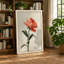 Coral Carnation Study Botanical - Wrapped Canvas-1741842144-1741842145