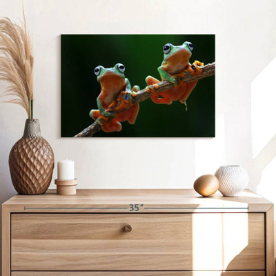 Two Wallace's Flying Frogs